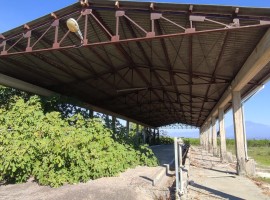 7956 - Capannone per complessivi 2500 mq + terreno agricolo