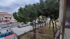 8096 - Forlanini, luminoso accogliente 3 vani